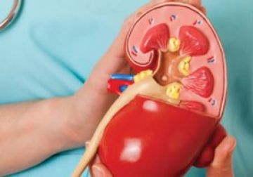 خبراء: 5 عادات صباحية قد تضر كليتيك بهدوء تجنبها