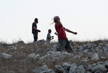 مستعمرون يعتدون على أراضي زراعية بالأغوار الشمالية