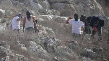 إصابة 8 فلسطينيين باعتداء مستوطنين إسرائيليين بالقدس والخليل