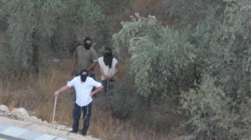 مستوطنون يعتدون على المزارعين ويجبرونهم على مغادرة أراضيهم جنوب نابلس