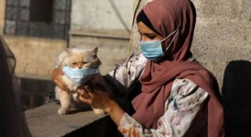 غزة: 99 إصابة جديدة بكورونا و65 حالة شفاء