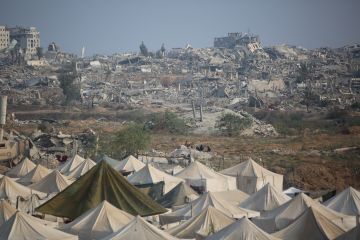 قرقاش: الإمارات تستبعد الانضمام حاليا إلى قوة تحقيق الاستقرار في غزة