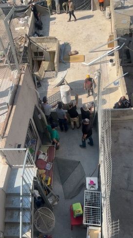 الخارجية: إخلاء عقار عائلتي شويكي وعودة في بطن الهوى جريمة لصالح المستوطنين