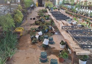 مستعمرون يهاجمون مشتلا ويتلفون محتوياته في دير شرف غرب نابلس مستعمرون يهاجمون مشتلا ويتلفون محتوياته في دير شرف غرب نابلس