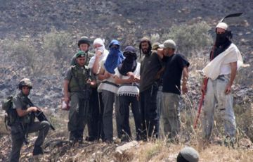 تصاعد جرائم مستوطني فتيان التلال بالضفة.. ضوء أخضر من حكومة نتنياهو