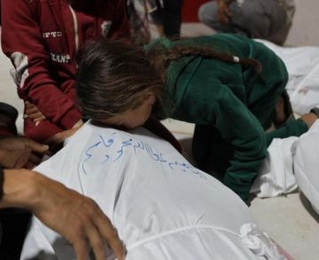 أفظع من أفلام الرعب.. طبيبة نرويجية تكشف تفاصيل قاسية خلال عملها في قطاع غزة