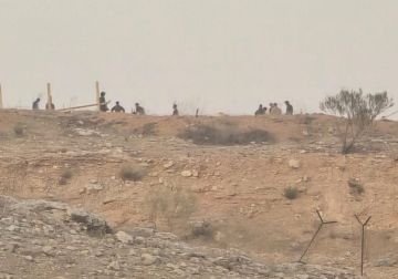 مستعمرون يقيمون بؤرة استعمارية في الأغوار الشمالية