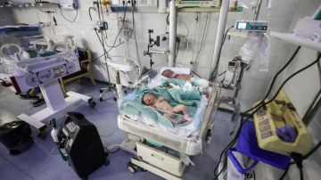 قذيفة إسرائيلية أبادت 4000 جنين في غزة... إليك تفاصيل الجريمة