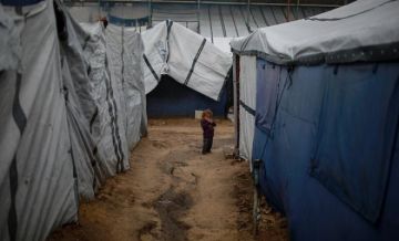 تقرير أممي: قطاع غزة يتطلب خطة إنعاش وبرنامج مساعدات نقدية غير مشروط