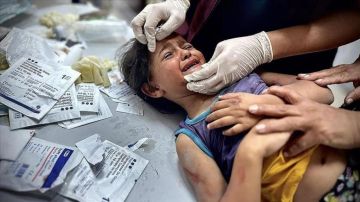 مركز حقوقي: إسرائيل قتلت 350 فلسطينيا منهم 130 طفلا و54 امرأة