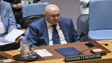 تفاصيل عن مشروع قرار أممي قدمته روسيا للسلام في غزة بديلا عن آخر أمريكي يدعم خطة ترامب تفاصيل عن مشروع قرار أممي قدمته روسيا للسلام في غزة بديلا عن آخر أمريكي يدعم خطة ترامب