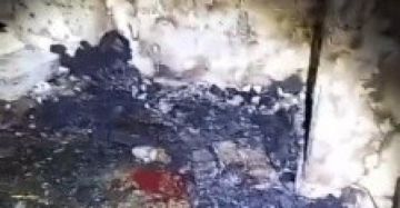 بالفيديو والصور استشهاد المطارد عبد الرؤوف اشتية في نابلس بالفيديو والصور استشهاد المطارد عبد الرؤوف اشتية في نابلس