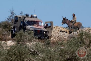 جيش الاحتلال يتهم الشاباك والشرطة برعاية جرائم المستوطنين في الضفة