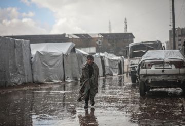 الصحة العالمية تحذر: أكثر من 900 وفاة في غزة بسبب تأخر الإجلاء الطبي الصحة العالمية تحذر: أكثر من 900 وفاة في غزة بسبب تأخر الإجلاء الطبي