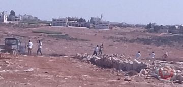 3 اصابات برصاص المستوطنين شرق الخليل أثناء قطف ثمار الزيتون