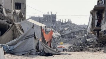 تقرير بمحاذاة الخط الأصفر... نازحو الشجاعية بين منع الاحتلال وقسوة الشتاء تقرير بمحاذاة الخط الأصفر... نازحو الشجاعية بين منع الاحتلال وقسوة الشتاء