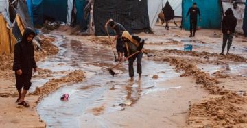 مطلقة نداء استغاثة عاجلا.. هيئة عشائر غزة: النازحون يواجهون خطر الموت غرقا