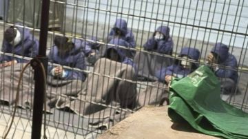 بينهم سيدة اغتصبت 4 مرات خلال يومين.. شهادات مروعة لحالات اغتصاب جماعي في سجون الاحتلال