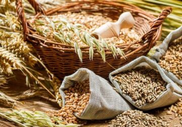 تحدث عند تناول الأطعمة الغنية بالكربوهيدرات.. ما حساسية النشويات؟ تحدث عند تناول الأطعمة الغنية بالكربوهيدرات.. ما حساسية النشويات؟