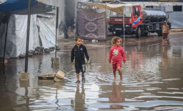 غزة تحذر: كارثة غير مسبوقة ونقص حاد في الخيام والغذاء والدواء غزة تحذر: كارثة غير مسبوقة ونقص حاد في الخيام والغذاء والدواء