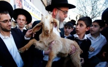 محاولة غير مسبوقة لإدخال قرابين إلى الأقصى وحراس المسجد يتصدون