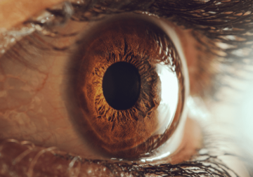 السكر والضغط والسرطان.. 7 أمراض تكشفها العين السكر والضغط والسرطان.. 7 أمراض تكشفها العين