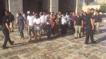 فيديو وصور اقتحامات بالجملة للأقصى ومنع عشرات المصلين من دخوله فيديو وصور اقتحامات بالجملة للأقصى ومنع عشرات المصلين من دخوله