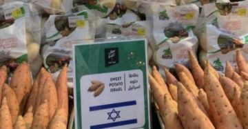 هولندا تمضي في خطتها لحظر الواردات من المستوطنات