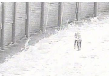 جيش الاحتلال: قتلنا شابين جنوب رام الله جيش الاحتلال: قتلنا شابين جنوب رام الله