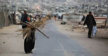 أهالي غزة مذنبون بالارتباط أمان : 83 من القتلى مدنيون أهالي غزة مذنبون بالارتباط أمان : 83 من القتلى مدنيون