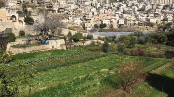 الاحتلال يخطر بهدم تسعة منازل جنوب بيت لحم الاحتلال يخطر بهدم تسعة منازل جنوب بيت لحم