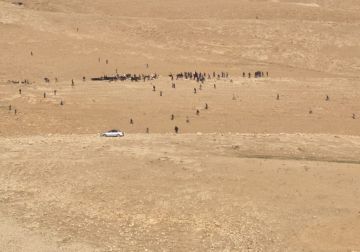 الاحتلال يعتقل مواطنا في العساكرة ومستعمرون يهاجمون المزارعين في الرشايدة