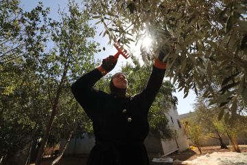 الأمم المتحدة تعتمد مشروع قرار حول السيادة الدائمة للشعب الفلسطيني على موارده الطبيعية الأمم المتحدة تعتمد مشروع قرار حول السيادة الدائمة للشعب الفلسطيني على موارده الطبيعية