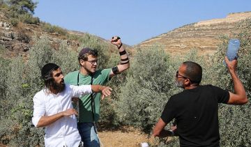 مستوطنون يهاجمون مزارعين ومتضامين في بيتا جنوب نابلس