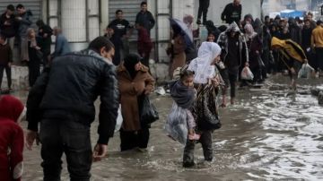 حوار خريشة: الصمود الفلسطيني سيفشل جميع المخططات الإسرائيلية - الأمريكية