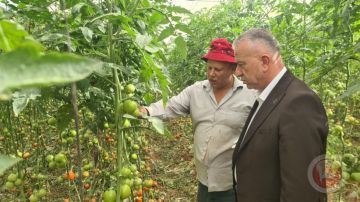 في قلب الخليل شاب يحول الزراعة إلى حكاية إلهام وتجديد في قلب الخليل شاب يحول الزراعة إلى حكاية إلهام وتجديد