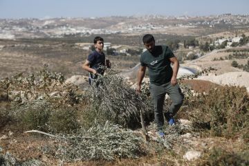 حماس: إعلان الاحتلال عن مشروع استيطاني جديد في قلب الخليل جريمة تهويدية تهدد هوية المدينة