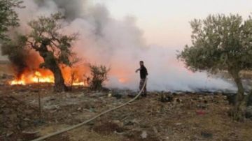 مستوطنون يحرقون منشأة زراعية في قرية أبو فلاح