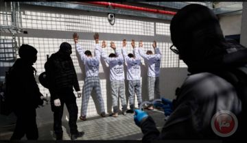 نادي الأسير: وحشية الاحتلال بلغت مستويات غير مسبوقة مع طرح قانون الإعدام نادي الأسير: وحشية الاحتلال بلغت مستويات غير مسبوقة مع طرح قانون الإعدام