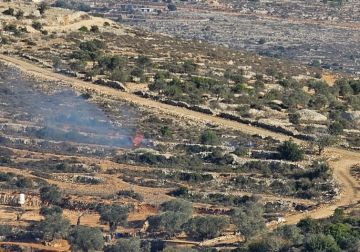 مستعمرون يحرقون أشجار زيتون ويسرقون معدات زراعية في عطارة شمال رام الله مستعمرون يحرقون أشجار زيتون ويسرقون معدات زراعية في عطارة شمال رام الله