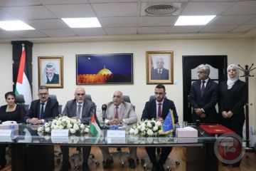 50 مشروعا زراعيا في محافظتي القدس وأريحا