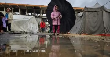 الإعلامي الحكومي: قطاع غزة يعيش كارثة إيواء وأزمة إنسانية غير مسبوقة