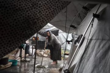 الإعلامي الحكومي يغزة: 288 ألف أسرة في مواجهة الظروف المناخية القاسية