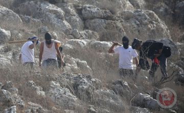 تقرير: جرائم المستوطنين تتصاعد بالضفة تمهيدا للضم وطرد سكانها