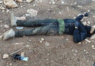 استشهاد طفلين برصاص الاحتلال في بيت أمر شمال الخليل