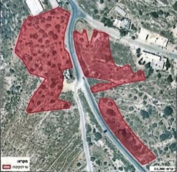 قرار إسرائيلي باقتلاع أشجار من أراضي قريتين في رام الله قرار إسرائيلي باقتلاع أشجار من أراضي قريتين في رام الله