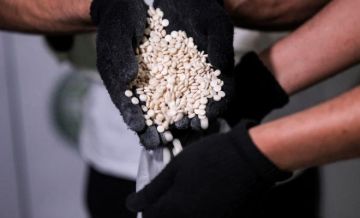 غزة: إحباط محاولة تهريب مواد مخدرة عبر شاحنات واردة إلى قطاع غزة