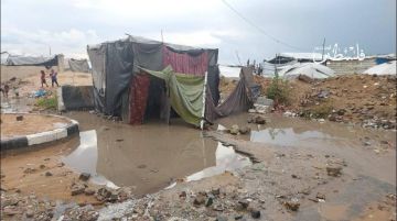 الإعلامي الحكومي: الأمطار تفاقم مأساة 1.5 مليون نازح بعد غرق خيامهم البالية الإعلامي الحكومي: الأمطار تفاقم مأساة 1.5 مليون نازح بعد غرق خيامهم البالية