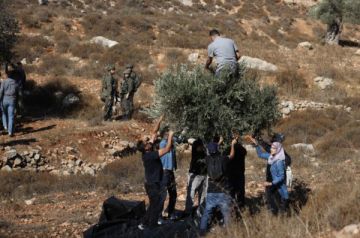 الجيش الإسرائيلي يمنع نشطاء أجانب من الوصول إلى بورين الجيش الإسرائيلي يمنع نشطاء أجانب من الوصول إلى بورين