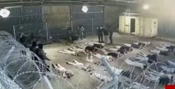 تقرير تسريب فيديو اغتصاب أسير فلسطيني... فضحية أخلاقية وسياسية تهز صورة جيش الاحتلال